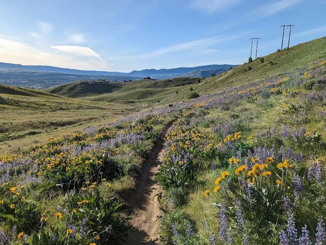 Balsamroot Trail: Informal Public Access - Image 1
