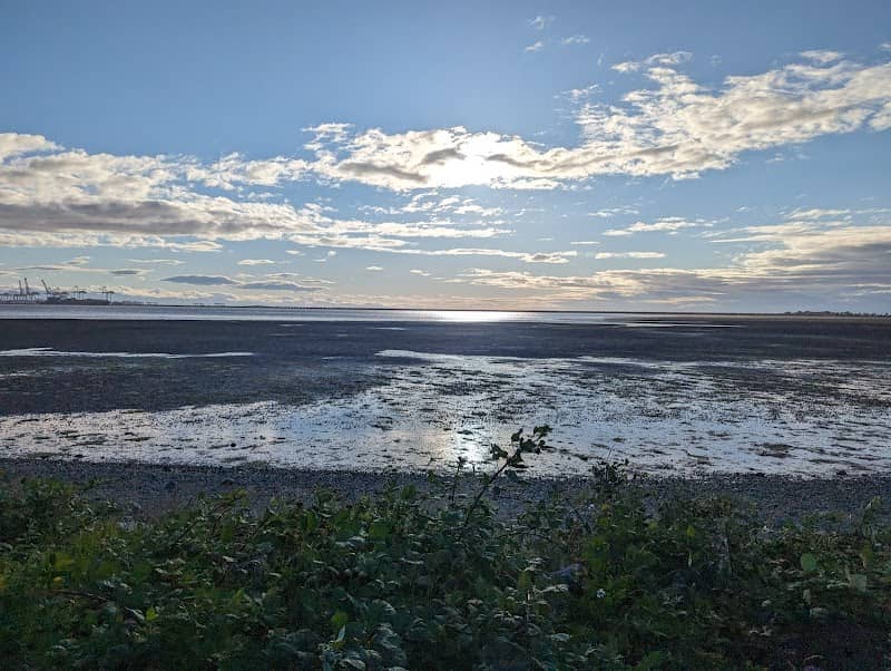 Tsawwassen First Nation Boardwalk - Image 2