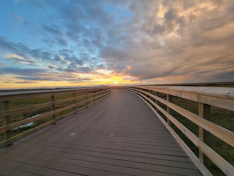 Tsawwassen First Nation Boardwalk - Image 3