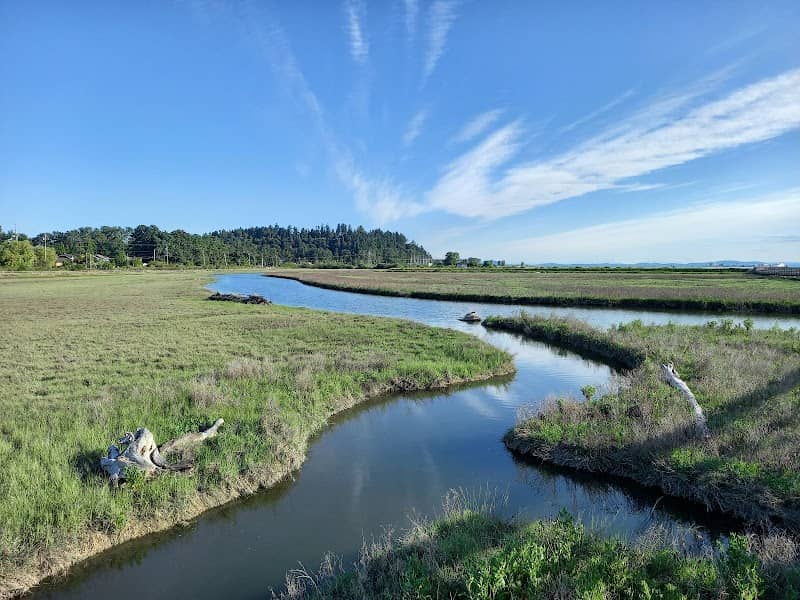 Tsawwassen First Nation Boardwalk - Image 1