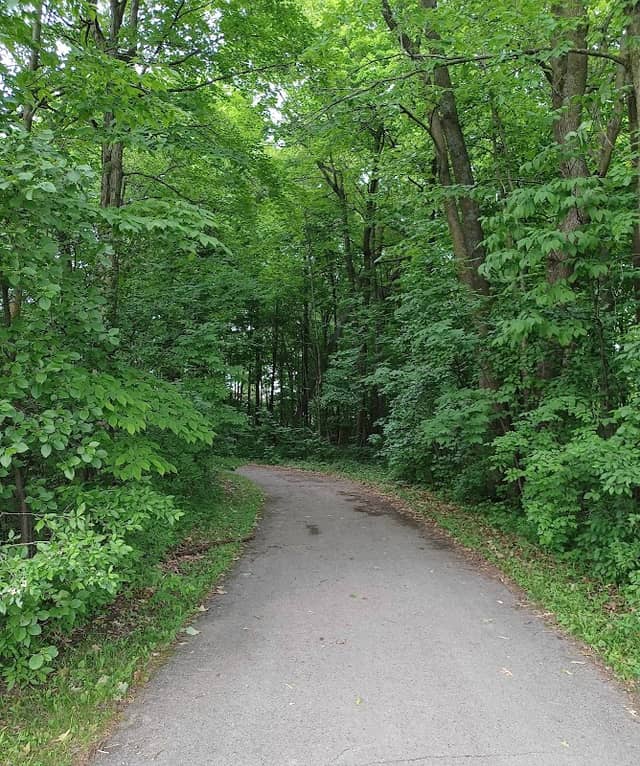 Gregg Preserve - Image 1