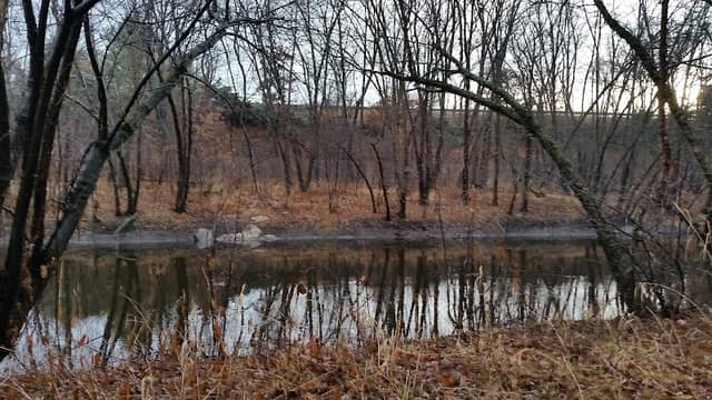 Shawsheen River Trail - Image 1