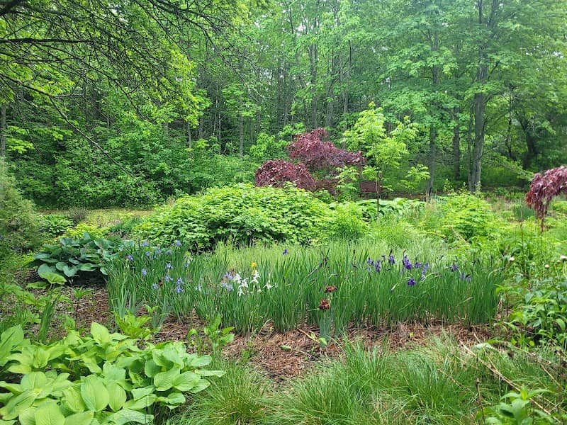Fredericton Botanic Garden - Image 1