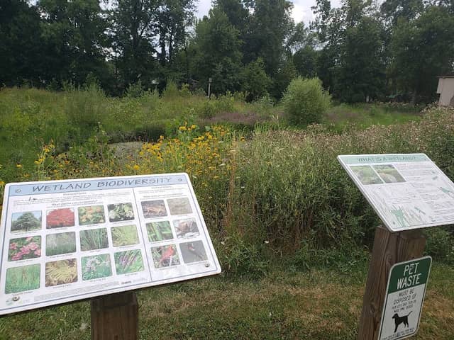 Southbridge Nature Preserve - Image 2