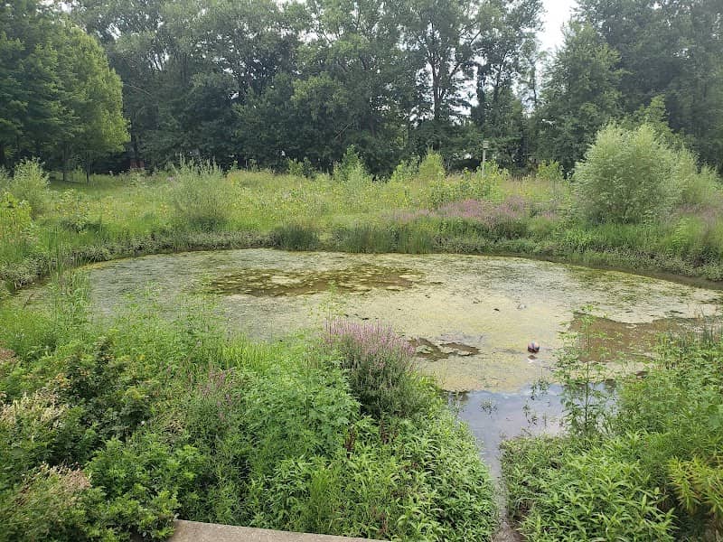 Southbridge Nature Preserve - Image 1