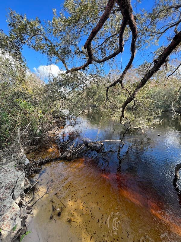 Kissimmee Basin - Image 3