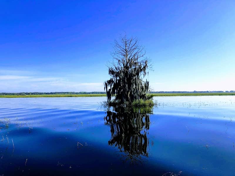 Kissimmee Basin - Image 1
