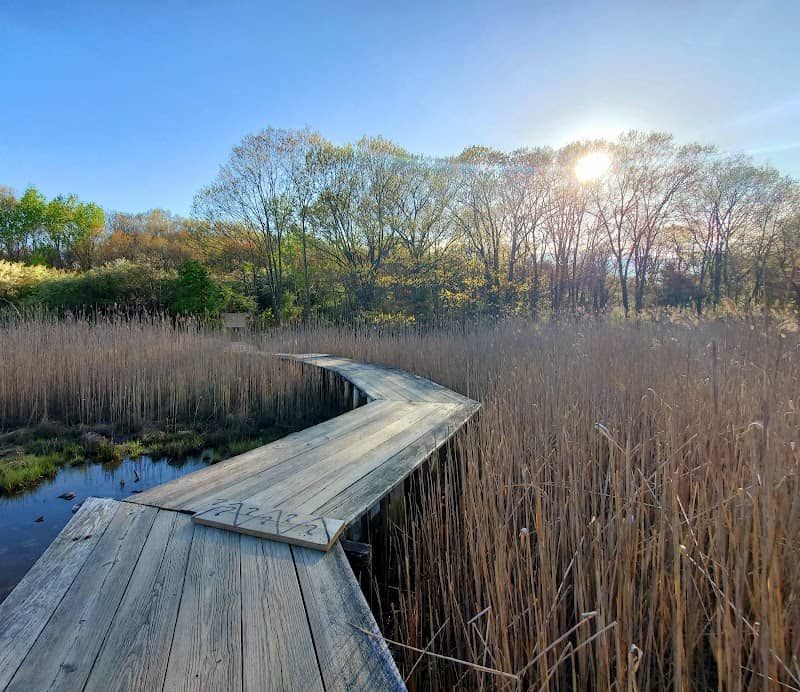 Forest River Conservation Area - Image 1