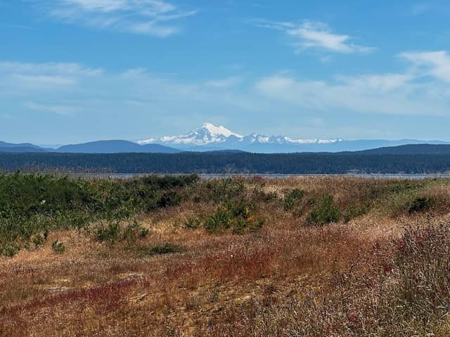 Robert's Redoubt - Image 2