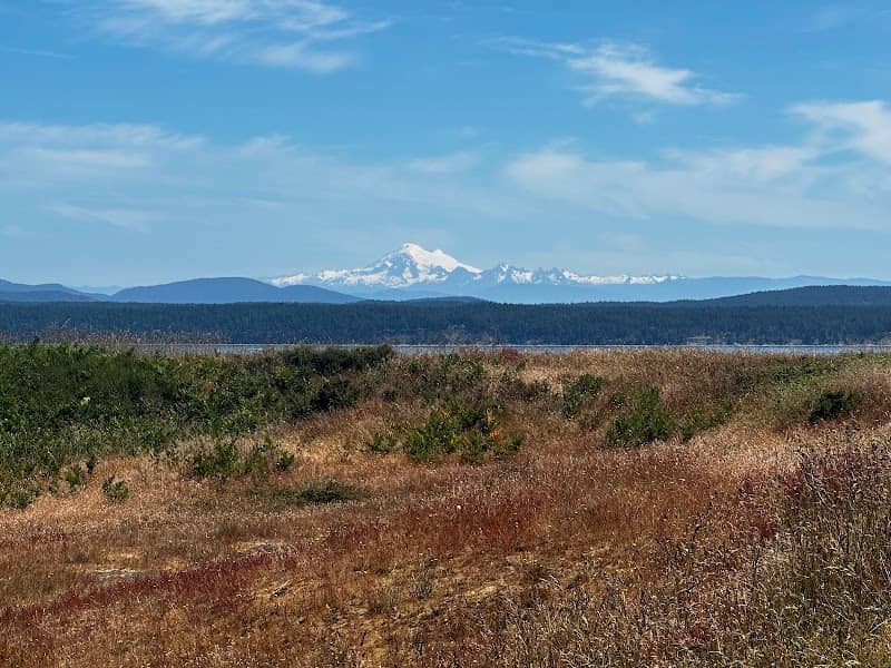 Robert's Redoubt - Image 2