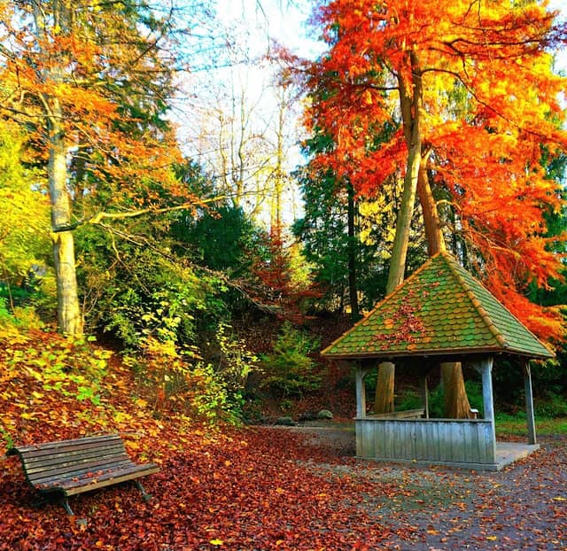 Sitzplatz Hofgarten - Image 1