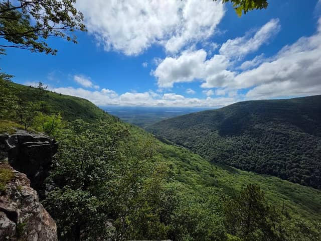 Kaaterskill Wild Forest - Image 1