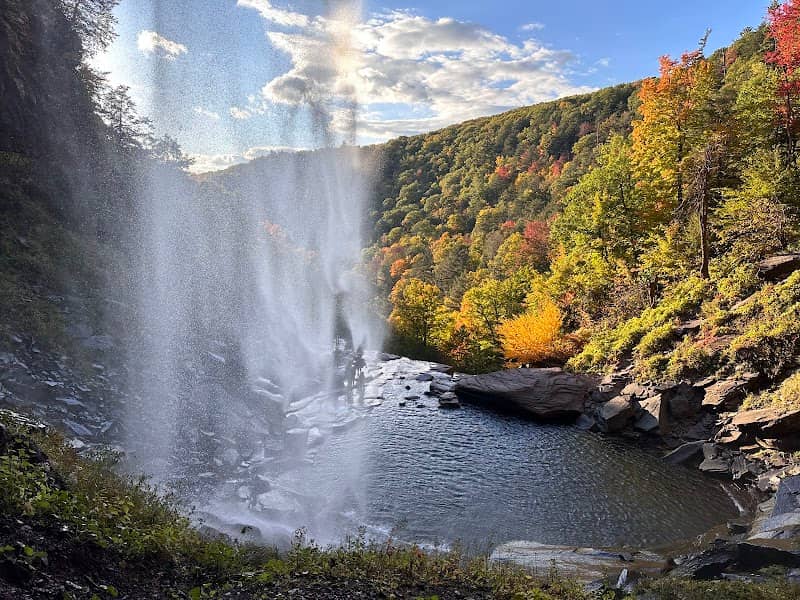Kaaterskill Wild Forest - Image 2