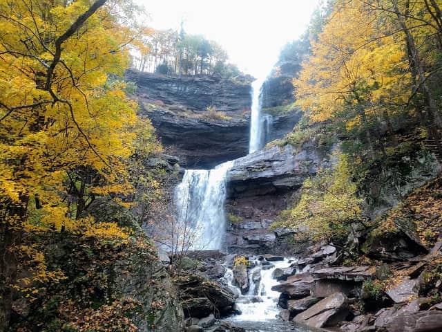 Kaaterskill Wild Forest - Image 3