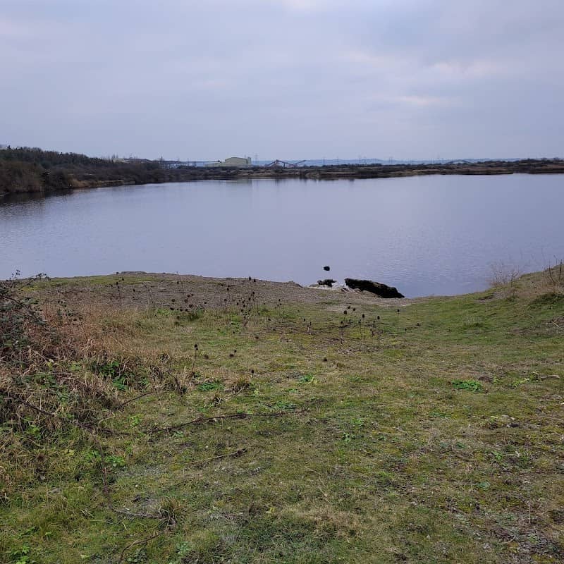 Cliffe Pools - Image 1