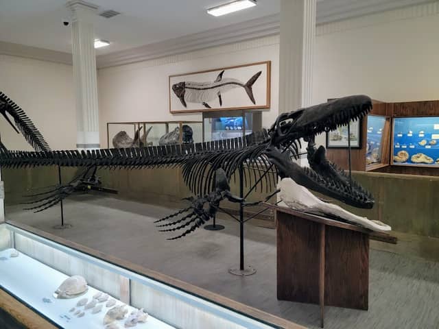 Museum of Geology - Image 1