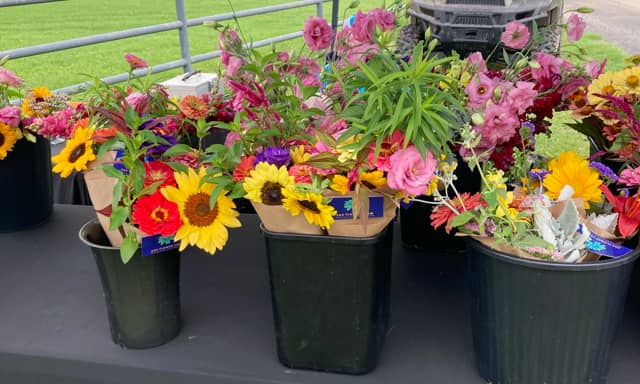 S&S Flower Farm - Image 1