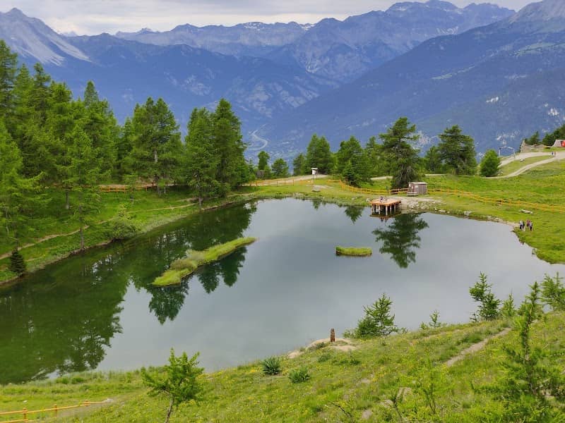 Parco Naturale del Gran Bosco di Salbertrand - Image 1