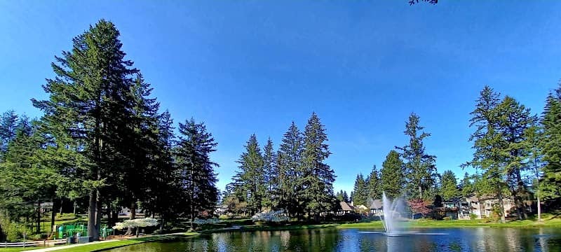 Cherry Park - Image 1