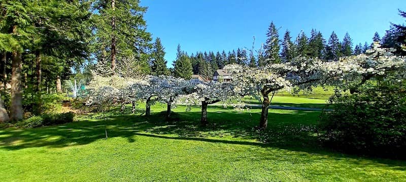 Cherry Park - Image 2