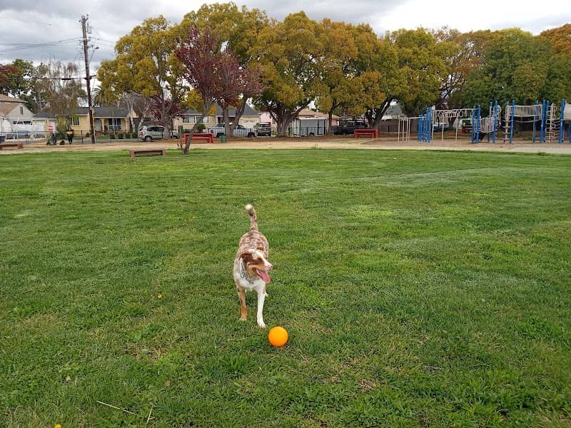 Schafer Park - Image 3