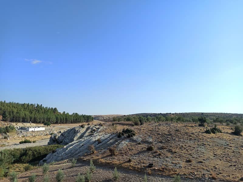 Kilis Martyrs Forest - Image 1