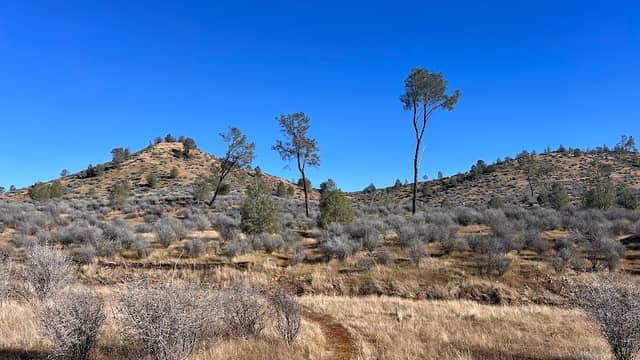 Interpretive Nature Trail Parking - Image 1