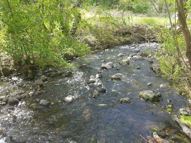 Hinkle Creek Nature Area - Image 3