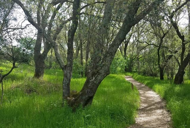Hinkle Creek Nature Area - Image 2