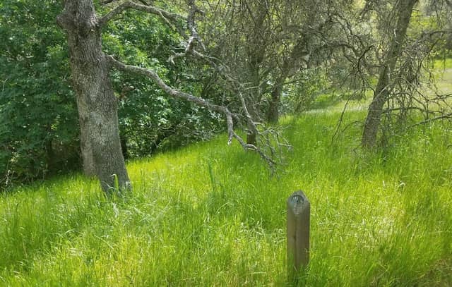 Hinkle Creek Nature Area - Image 1