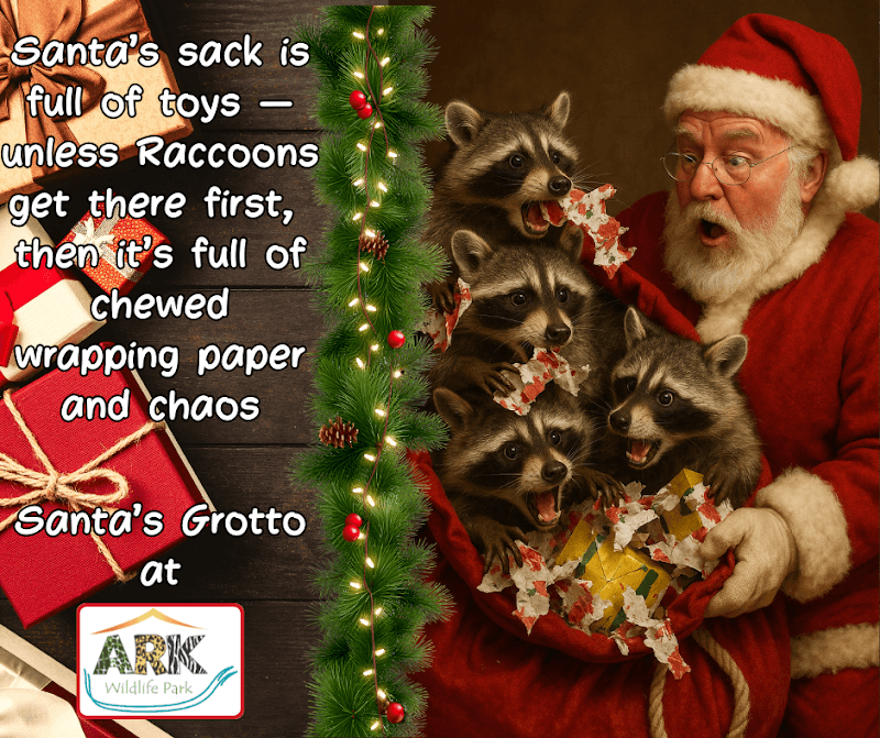 Santa's Grotto at ARK Wildlife Park - Image 1