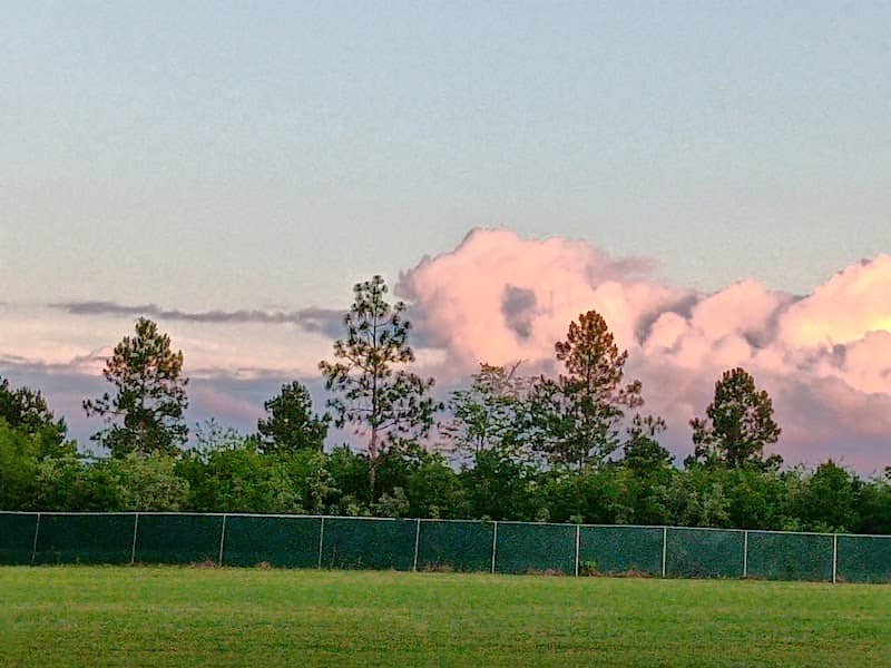 Homestead Campground - Image 2
