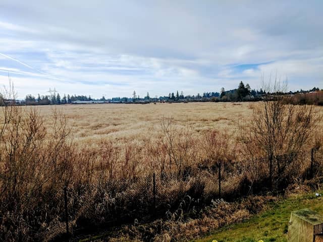Coffee Lake Wetlands - Image 2