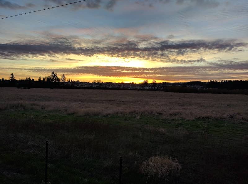 Coffee Lake Wetlands - Image 1