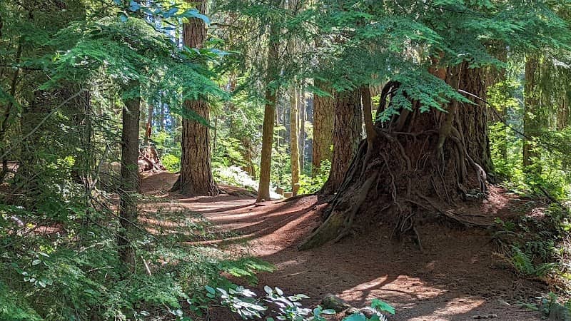 Beaver Lodge Lands - Image 2
