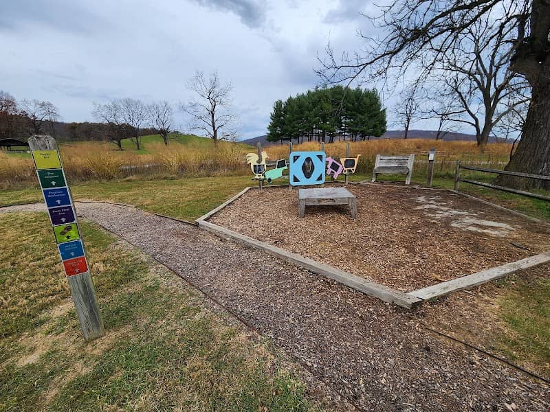 Children's Discovery Area - Image 2