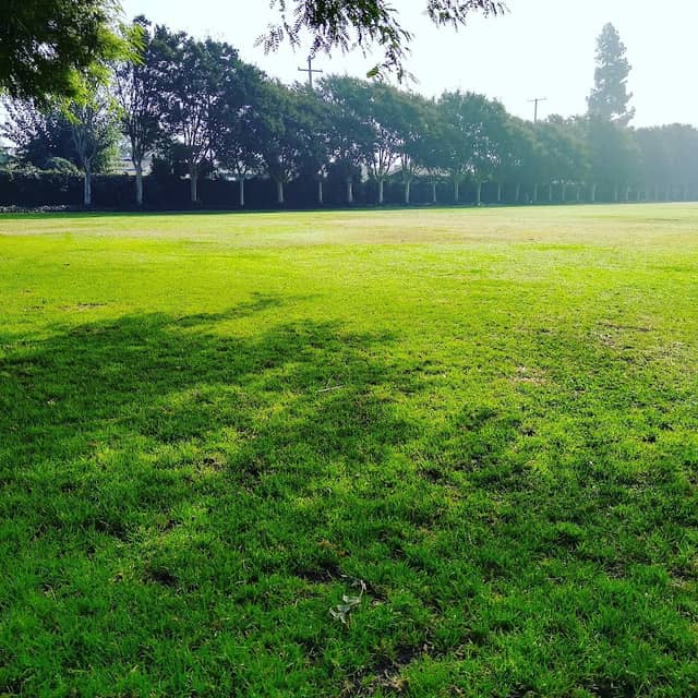 Hare School Park - Image 1