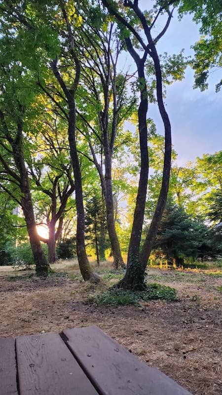 Bair Park - Image 1