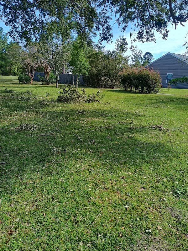 Red Fern park - Image 1