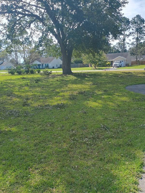 Red Fern park - Image 2