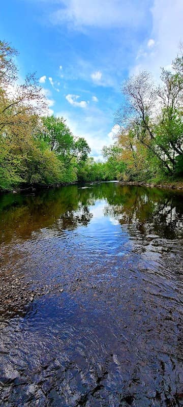 Bass Island Park - Image 1