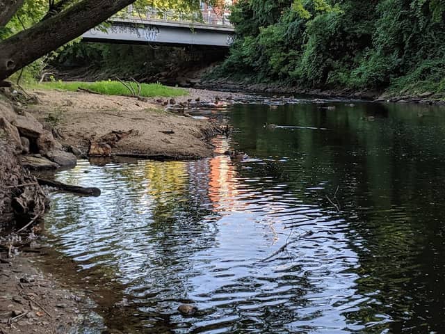 Bass Island Park - Image 3
