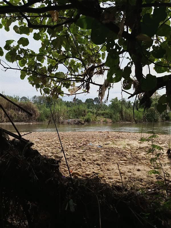 Tampek manciang - Image 1