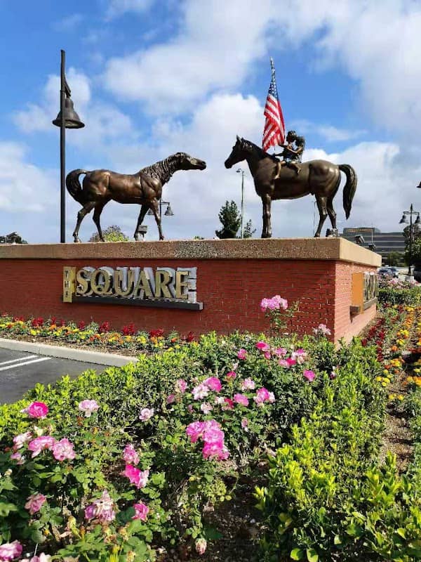 The SQUARE - Image 1