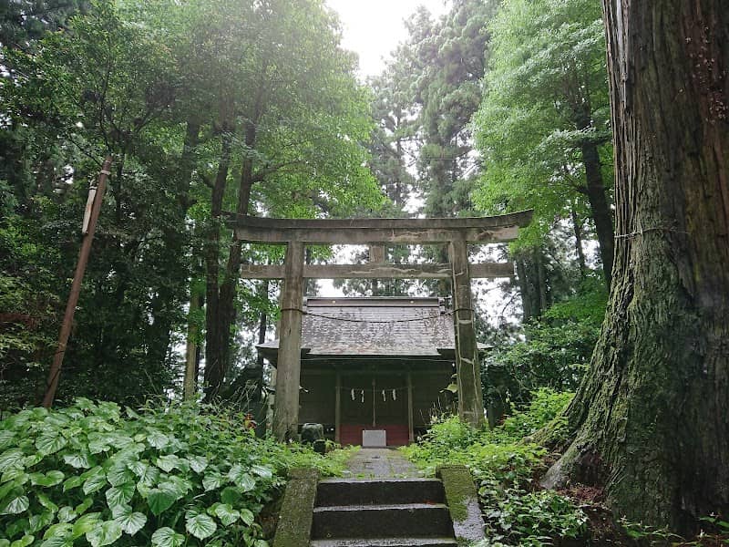 Suginamiki Park - Image 1