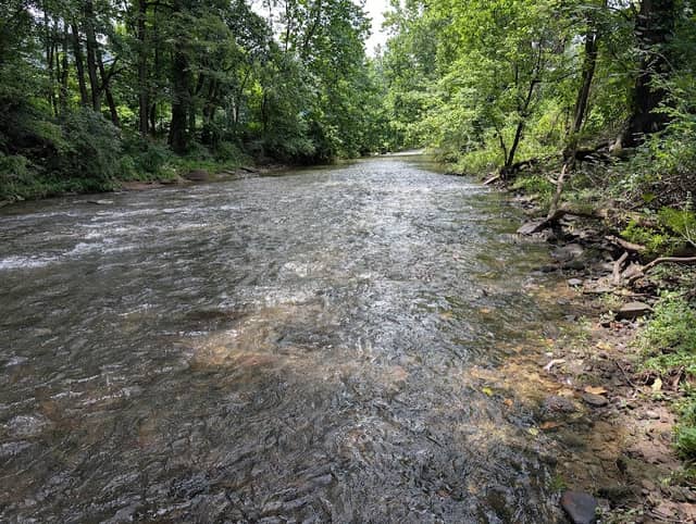 Marilla Park - Image 2