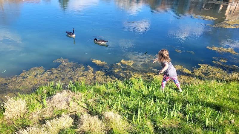 Hampton long pond - Image 1