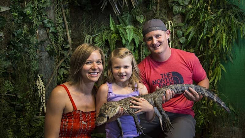 Gator Beach - The World's Greatest Alligator Park - Image 1