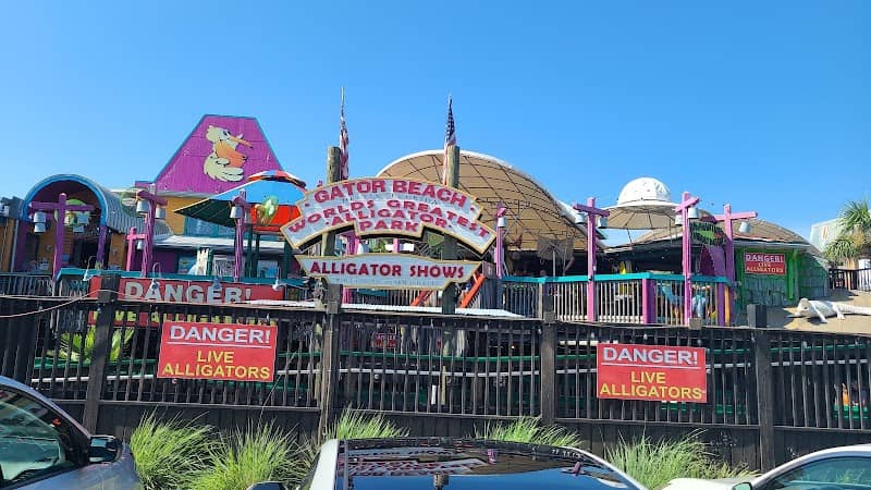 Gator Beach - The World's Greatest Alligator Park - Image 2