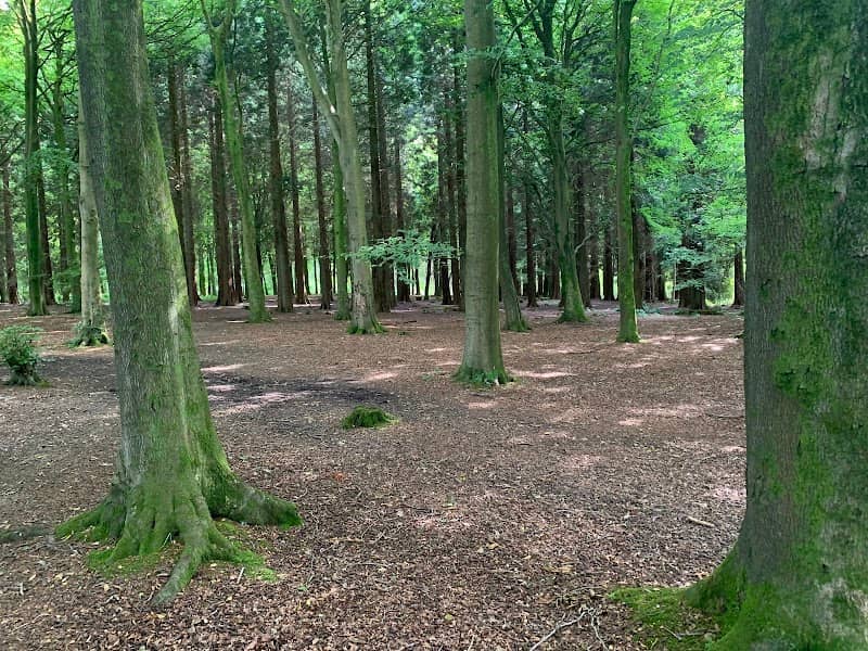 West Wood - Image 2